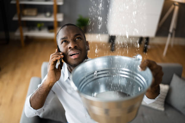 Best Residential water damage restoration  in Pumpkin Center, NC