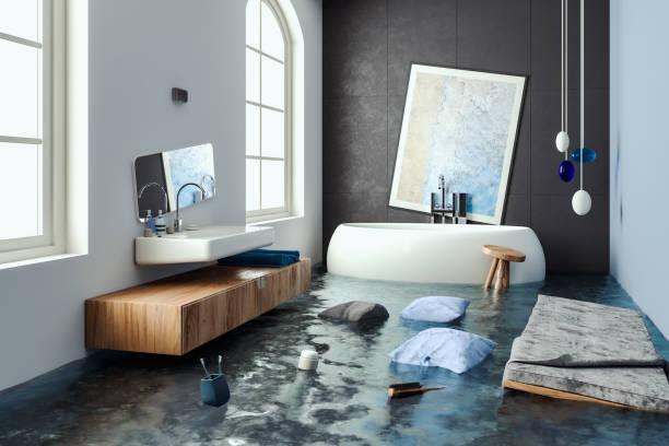 Best Professional water damage repair  in Pumpkin Center, NC