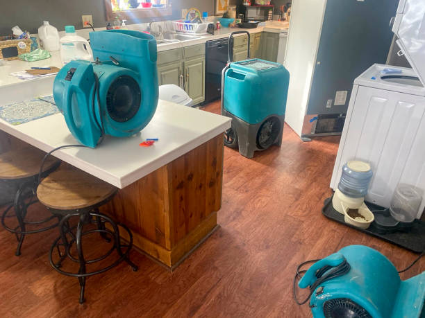 Best Local water damage restoration  in Pumpkin Center, NC