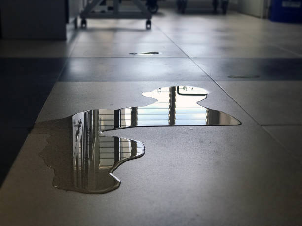 Reliable NC Water damage restoration Solutions