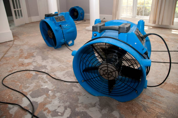 Best Water damage cleanup near me  in Pumpkin Center, NC
