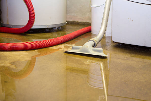 Best Water damage restoration near me  in Pumpkin Center, NC