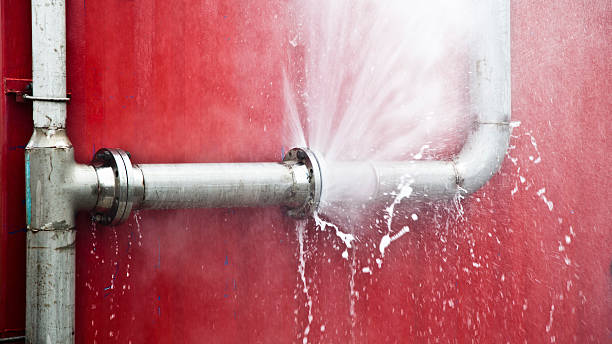  Pumpkin Center, NC Water damage restoration Pros